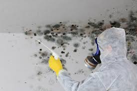 Best Mold Remediation for Healthcare Facilities  in Bogalusa, LA